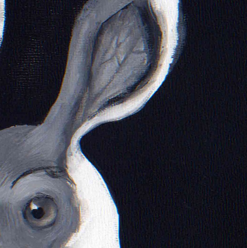 May include: Close-up of a black and white painted rabbit's head with a large ear. The rabbit's eye is visible and has a dark brown iris.