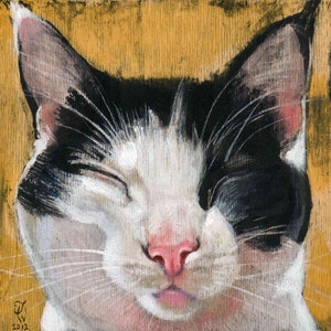 May include: A close-up of a black and white cat with one eye closed. The cat has a pink nose and a white patch on its chest. The background is a light brown.