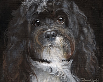 Havanese 10x10  Fine Art Print