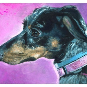 Dapple Dachshund, Fine Art Print