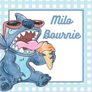 Cartes de visite Stitc pour enfants Etiquettes pour cadeaux, Étiquette joyeux anniversaire Lilo, Carte de visite Lilo Stitc pour enfant, Cartes de visite au point vichy été
