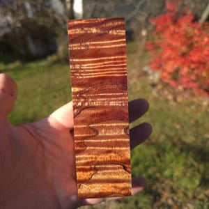 Può includere: Un pezzo rettangolare di legno con una ricca tonalità marrone-rossastra e un evidente motivo a venature. La superficie del legno presenta bande alternate di toni chiari e scuri, creando un effetto a strisce. Il legno è tenuto in una mano.