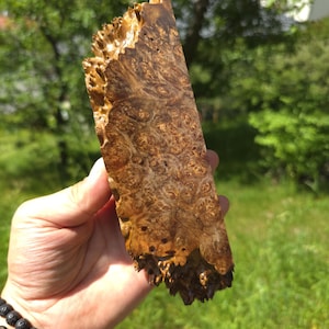 Könnte beinhalten: Ein Stück Maserholz mit einem einzigartigen, strukturierten Muster. Das Holz hat eine warme braune Farbe mit helleren, wirbelnden Mustern. Die Kanten sind rau und uneben, was zu seiner natürlichen Ästhetik beiträgt. Das Holz wird in einer Hand gehalten.