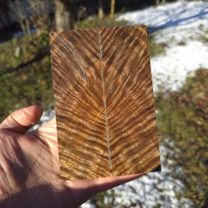 May include: A rectangular piece of wood with a striking, wavy grain pattern in shades of brown and gold. The wood is bisected by a thin, light-colored line, creating a symmetrical design. The wood is held in a hand.