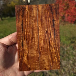 May include: Two pieces of wood with a rich, warm brown color and a unique grain pattern. The wood has a polished finish, with streaks of lighter and darker tones. The pieces are held together, showcasing the natural beauty of the wood.