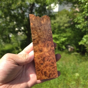 Könnte beinhalten: Ein rechteckiges Stück Maserholz mit einer natürlichen, strukturierten Oberfläche. Das Holz zeigt eine satte, warme braune Farbe mit komplizierten Mustern und Knoten. Die Oberkante hat eine raue, unebene Form. Der Hintergrund ist eine verschwommene Ansicht von grünem Laub.