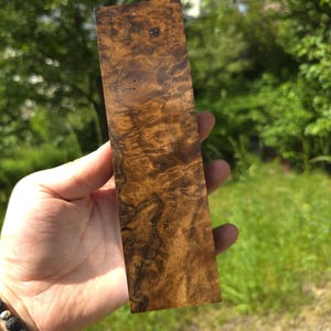 Peut inclure: Un morceau de bois rectangulaire avec un motif de grain tourbillonnant riche dans des tons bruns et bronzés. Le bois a un aspect poli, mettant en valeur la beauté naturelle du grain. La pièce est tenue dans une main, avec un arrière-plan vert flou.