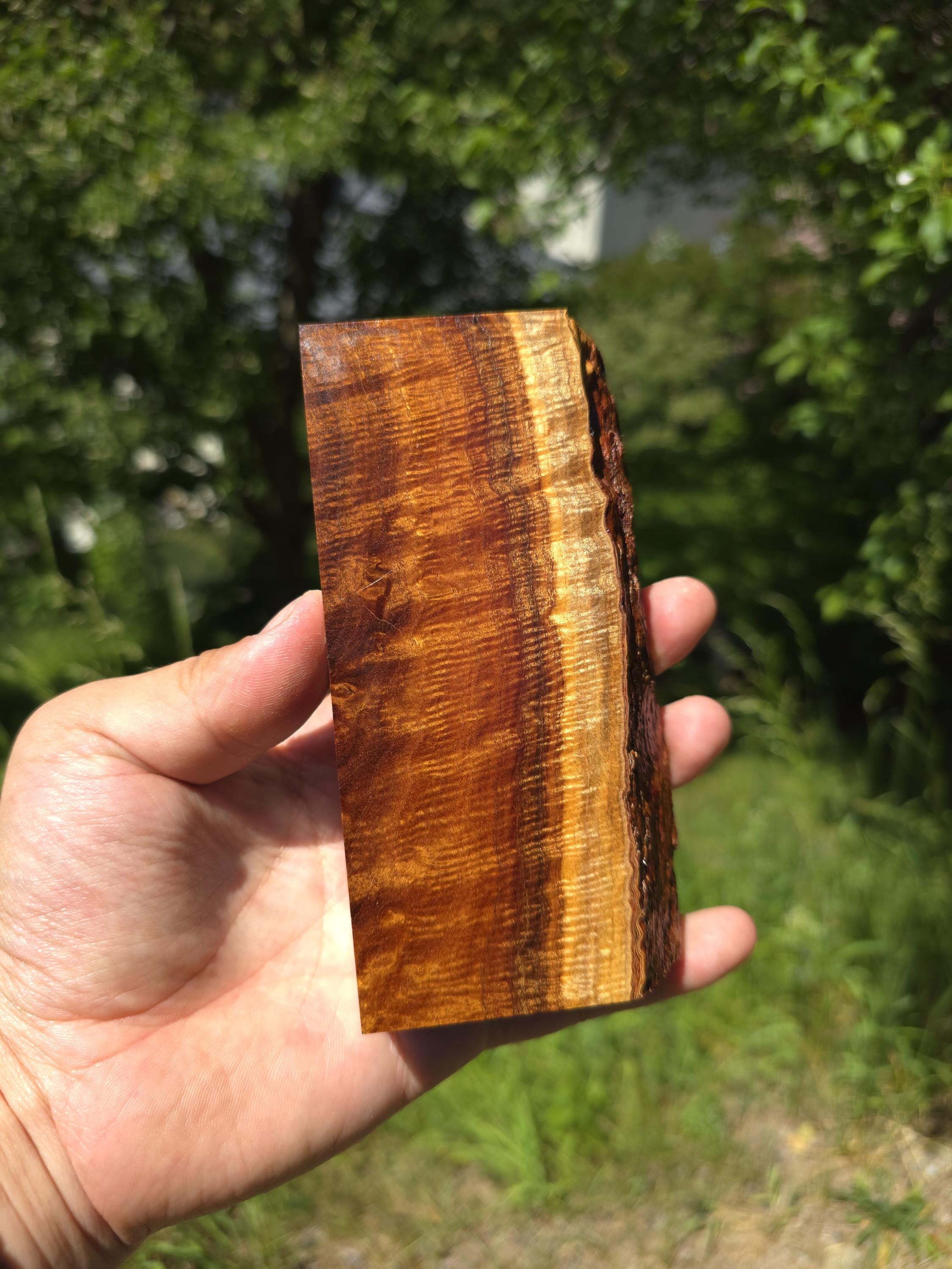 Gidgee timber - Etsy 日本
