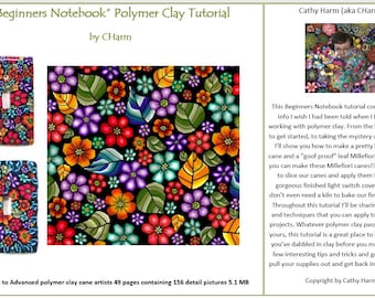 Cuaderno para principiantes: bastones de arcilla polimérica y tutorial de proyectos de CHarm