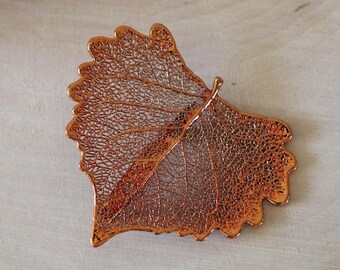 Cottonwood Leaf Brooch Copper, Hair Pin, Cottonwood Leaf Pin, Real Leaf, Copper Leaf, Nature Pin, Hat PIn, Organic Brooch, BROOCH22