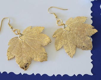 Silver Leaf Earrings, Maple Leaf, Real Leaf Earrings, Small Real Leaf Earrings, Full Moon Maple, Gold PLated leaf, Nature, LESM199