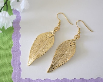 Gold Leaf Earrings, Evergreen Leaf , Real Leaf Earrings, Real Gold Evergreen Leaf, Gold, Nature,