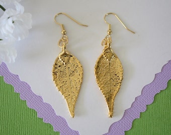 Gold Leaf Earrings, Evergreen Leaf, Real Leaf Earrings, Real Gold Evergreen Leaf, Gold, Nature