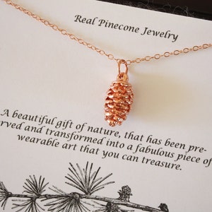 Real Pinecone Necklace, Small Pinecone Necklace, Pine cone, Pinecone, Pink Gold, Rose Gold, Sterling Silver, Copper, Christmas Gift, PC20 image 2