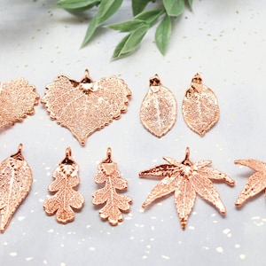 Real Leaf Earrings Rose Gold, Small Size Earrings, Evergreen Leaf,  Sugar Maple, Japanese Maple, Rose Leaf, Oak Leaf, Full Moon Maple, Maple