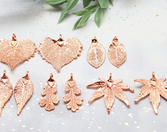 Real Leaf Earrings Rose Gold, Small Size Earrings, Evergreen Leaf,  Sugar Maple, Japanese Maple, Rose Leaf, Oak Leaf, Full Moon Maple, Maple