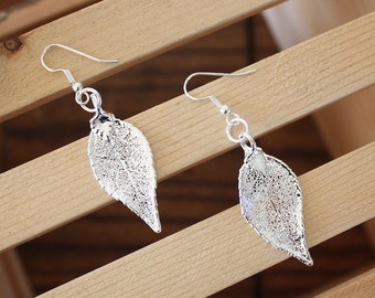Silver Evergreen Leaf Earrings Small, Real Leaf Earrings, Sterling Silver, Silver Leaves, Organic Gift, Silver Evergreen, Nature