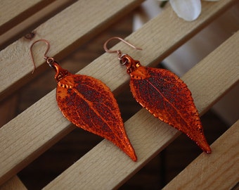 Medium Copper Leaf Earrings, Evergreen Leaf, Real Leaf Earrings, Copper, Earrings, Nature, LEP7