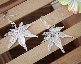 Silver Leaf Earrings, Japanese Maple Leaf, Real Leaf Earrings Maple, Sterling Silver, Nature