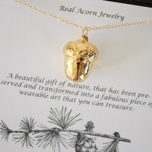 Gouden eikelketting, goud, echte eikel, kleine gouden eikel, eikels, kerstkaart, kerstcadeau, winterbruiloft