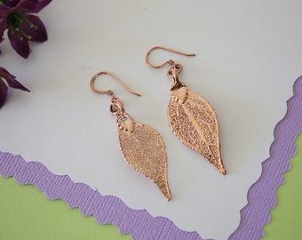 Evergreen Leaf Earrings Rose Gold, Evergreen Leaf, Small Size Earrings, 24kt Rose Gold Earrings, LESM99