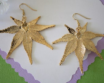 Gold Leaf Earrings, Maple  Leaf , Real Leaf Earrings, Real Gold Japanese Maple Leaf, Gold, Nature, LEP62