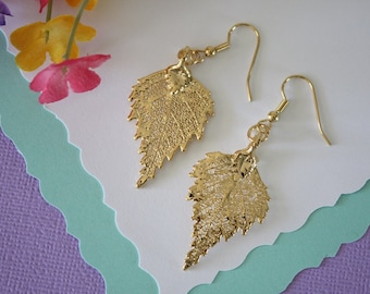 Gold Leaf Earrings, Birch Leaf, Real Leaf Earrings , 24kt Gold, Nature, Organic Earrings