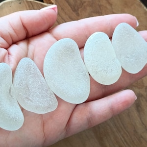 Puede incluir: Cinco piezas de vidrio de mar blanco liso de varias formas y tamaños, sostenidas en una mano.