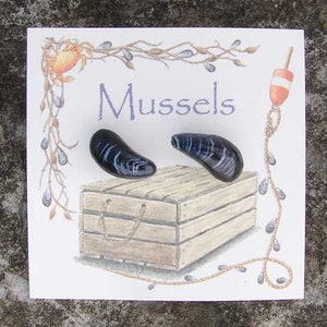 Mussel shell earrings