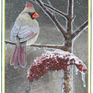 Cardenal (hembra) en tarjeta de nota de invierno