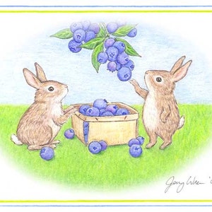 May include: Two brown rabbits with white tails are picking blueberries. One rabbit is standing on its hind legs reaching for blueberries on a vine. The other rabbit is sitting on the ground next to a basket of blueberries. The basket is made of wood and has a brown stain. The background is a green grassy field with a blue sky.