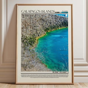 Galapagos Islands Ecuador Wall Art Poster |Galapagos Islands Travel Print Art| Ecuador Gift Artwork| South America Wall Hanging Home Decor
