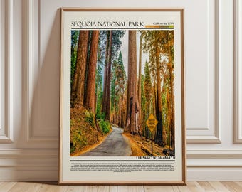 Op de afbeelding: Ingelijste print van Sequoia National Park, Californië, VS. De afbeelding toont een weg die door torenhoge sequoia's slingert. Een geel bord waarschuwt voor een smalle, bochtige weg. De print bevat de naam van het park en de coördinaten.