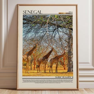Senegal Wildlife Art Print, African Safari Giraffe Photography, Nature Landscape Wall Decor, Travel Poster Gift