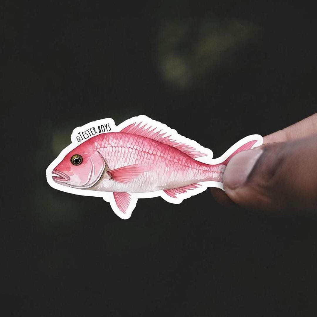 Pink Snapper - Australian Fishing Sticker - Etsy
