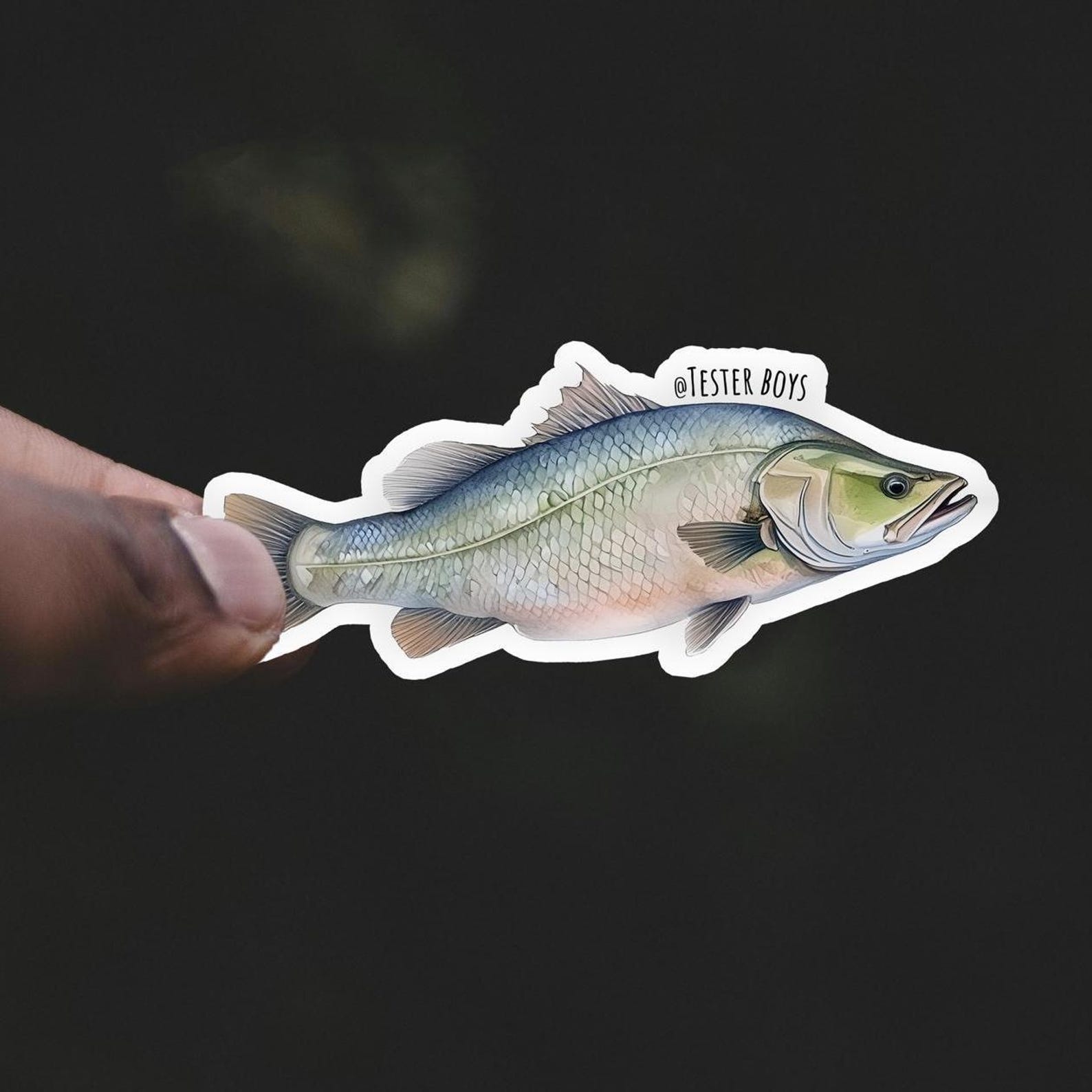 Barramundi Sticker - Etsy