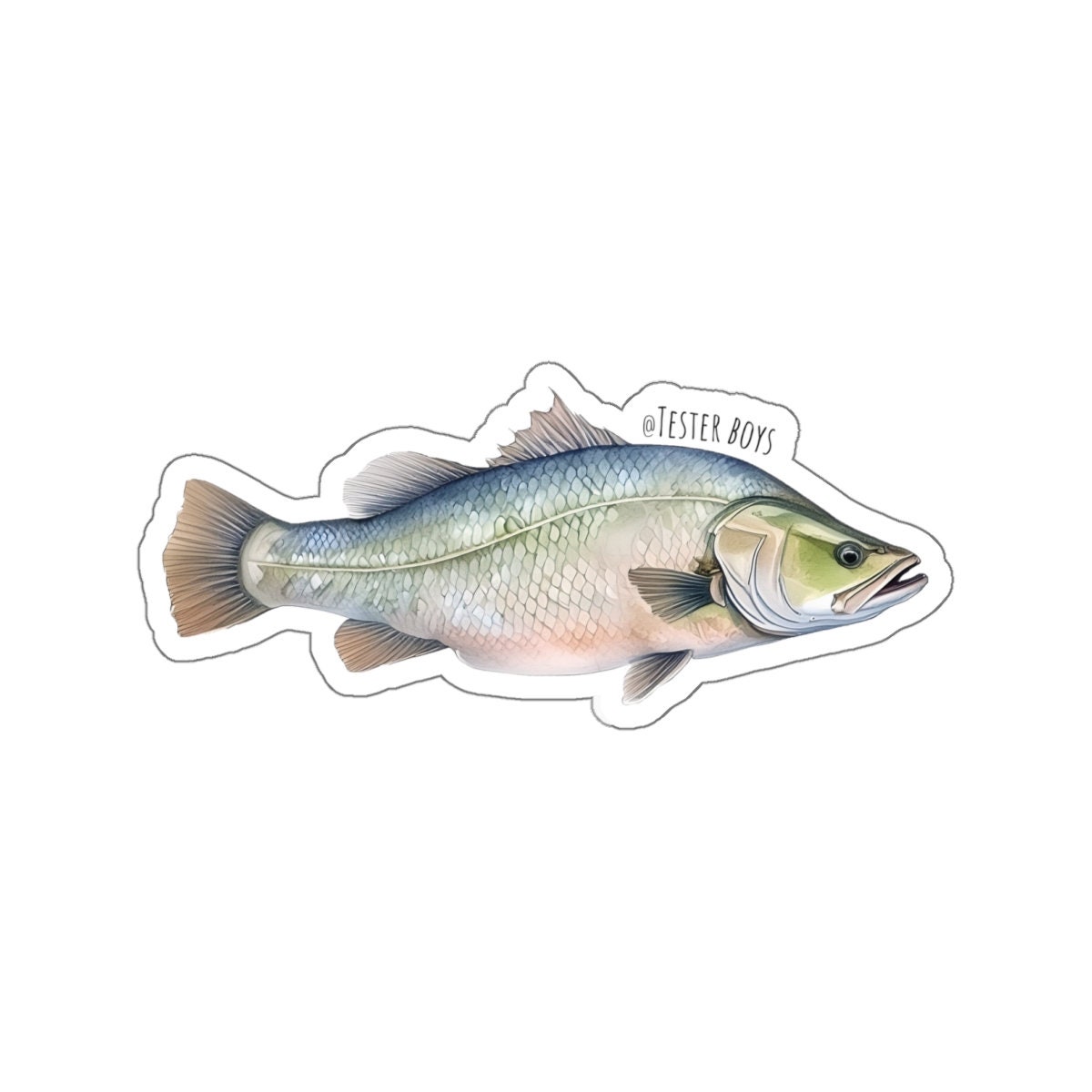 Barramundi Sticker - Etsy