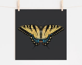 Tiger Swallowtail on Black - Fine Art Giclee Print