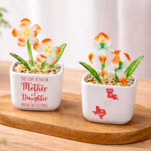 Personalized Mother's Day Glass Flower Pot, Love Between Mother and Daughter Knows No Distance Long Distance Flower Pot, Family Map 2 States