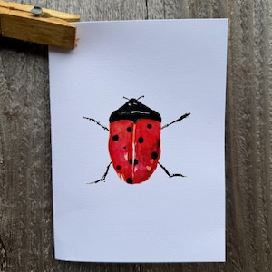 Carta acquerello - Coccinella