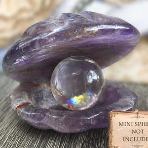 May include: A carved amethyst clam shell holds a clear crystal sphere, reflecting rainbow light. The shell is a deep purple with lighter streaks. A small sign reads "MINI SPHERE NOT INCLUDED".