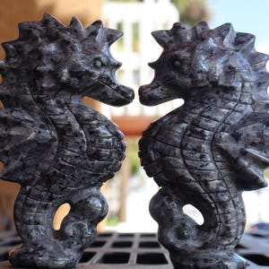 Larvikite Sea Horse, Handcrafted Ocean Inspired Home Decor, Nautical Theme Gift, Beach House Decoration - Intuitively Chosen 画像 11