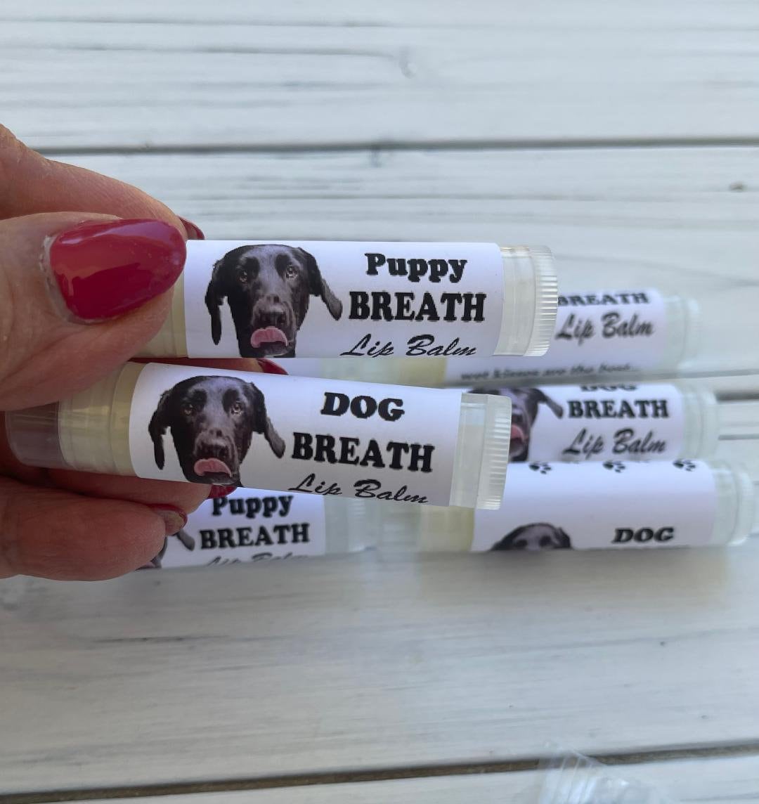 Dog top paw chapstick