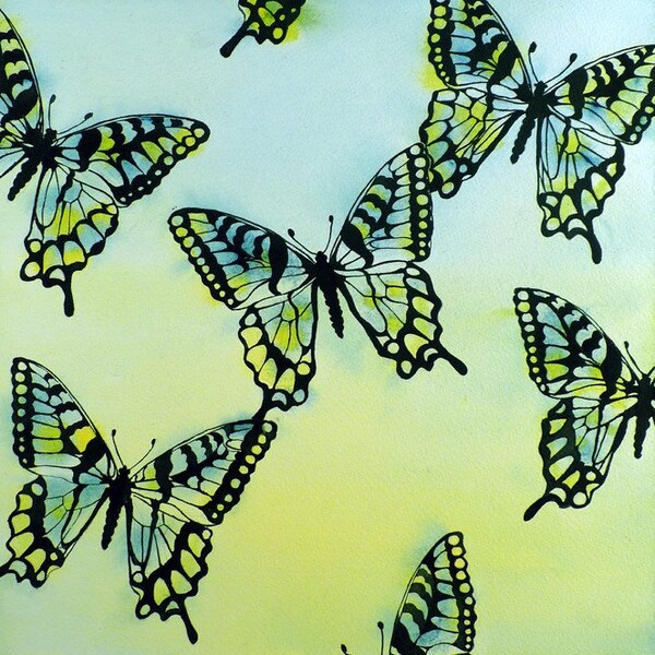 Butterfly Art Print Blue Monarch