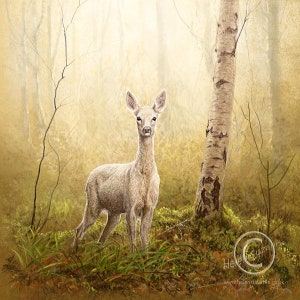 White Deer Greetings Card