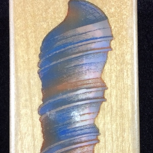 Auger Spiral Sea Shell Wood Mounted Rubber Stamp By Inkadinkado, Shells, Ocean, Water, Sea Shore, Beach, Nautical,