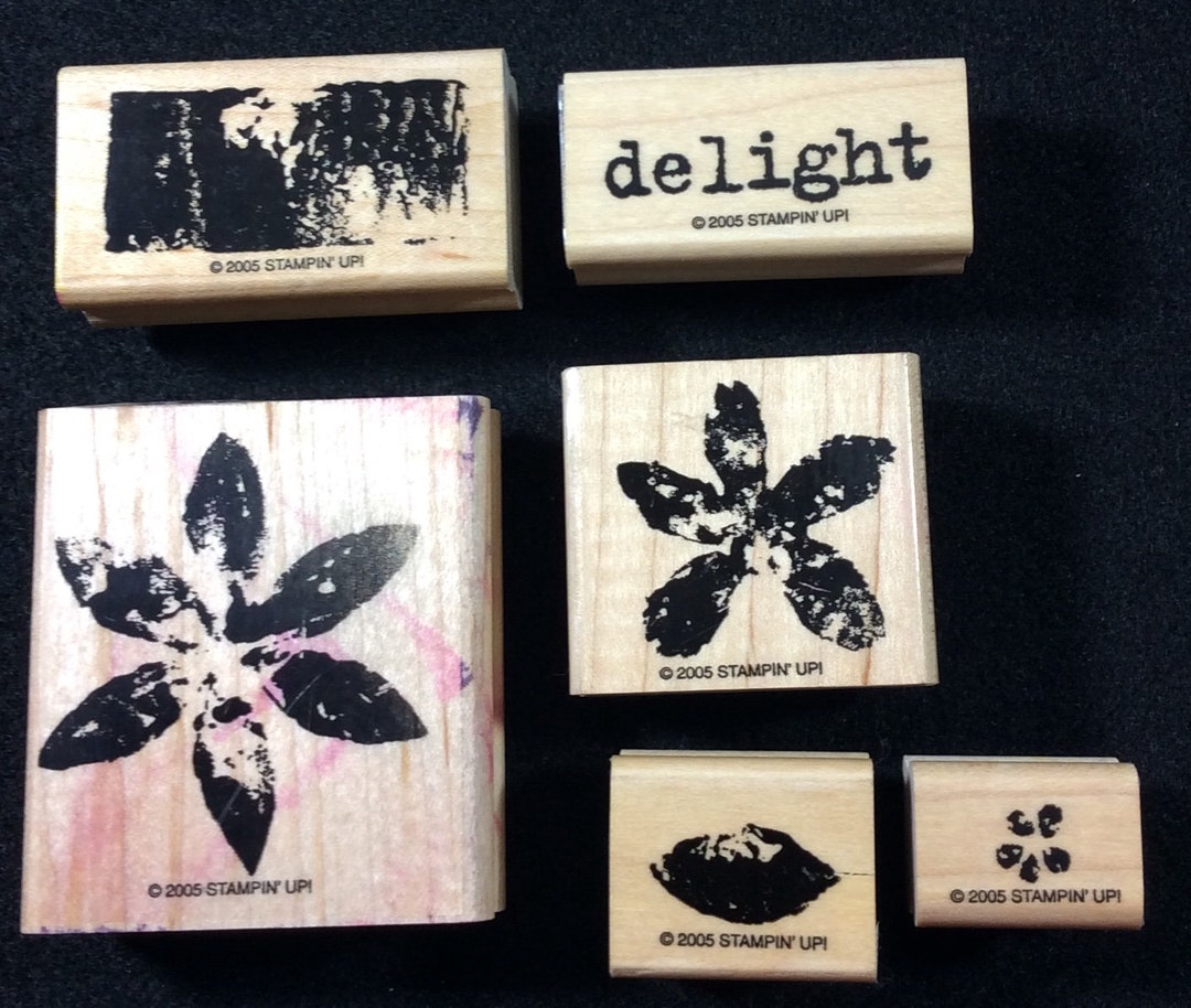Paint Prints Wood Mounted Rubber Stamp Set From Stampin up Floral ...