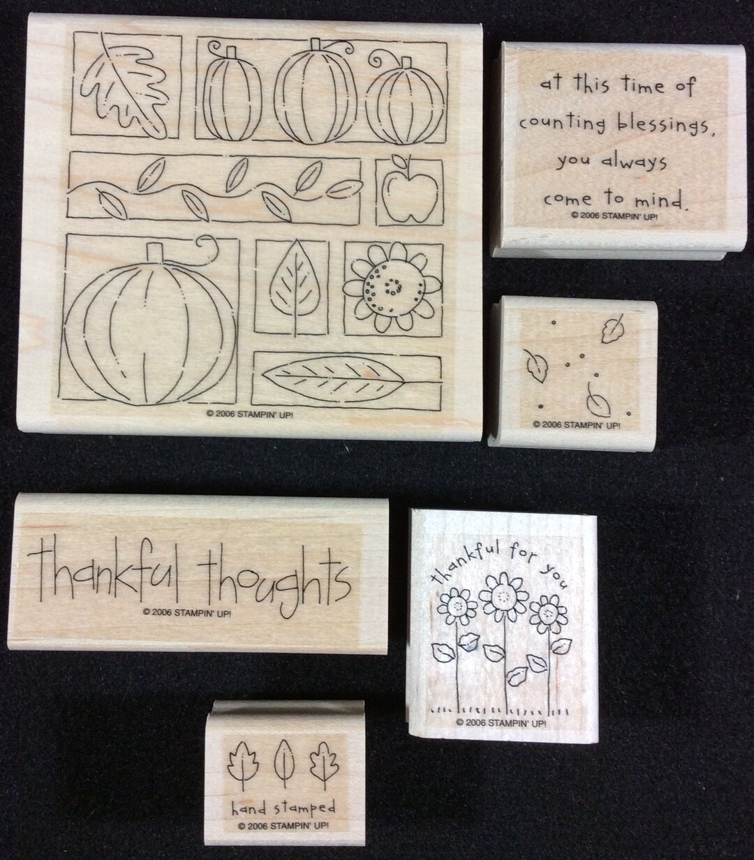 Thoroughly Thankful Wood Mounted Rubber Stamp Set From Stampin Up, Fall ...