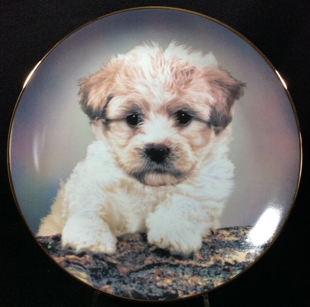 Who Me by Robert Pearcy, Armstrong's Art on Porcelain, Puppy, Dog