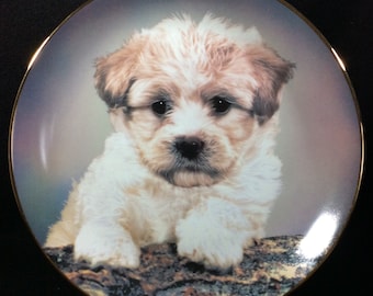 Who Me? By Robert Pearcy, Armstrong's Art On Porcelain, Puppy, Dog, Canine